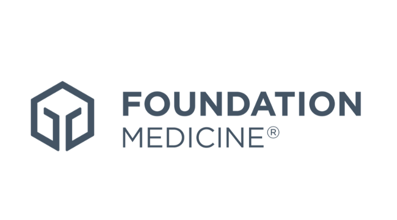 FMI Logo Slate 300ppi 2025